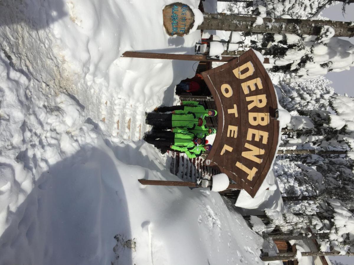 Ilgaz Derbent Hotel Extérieur photo